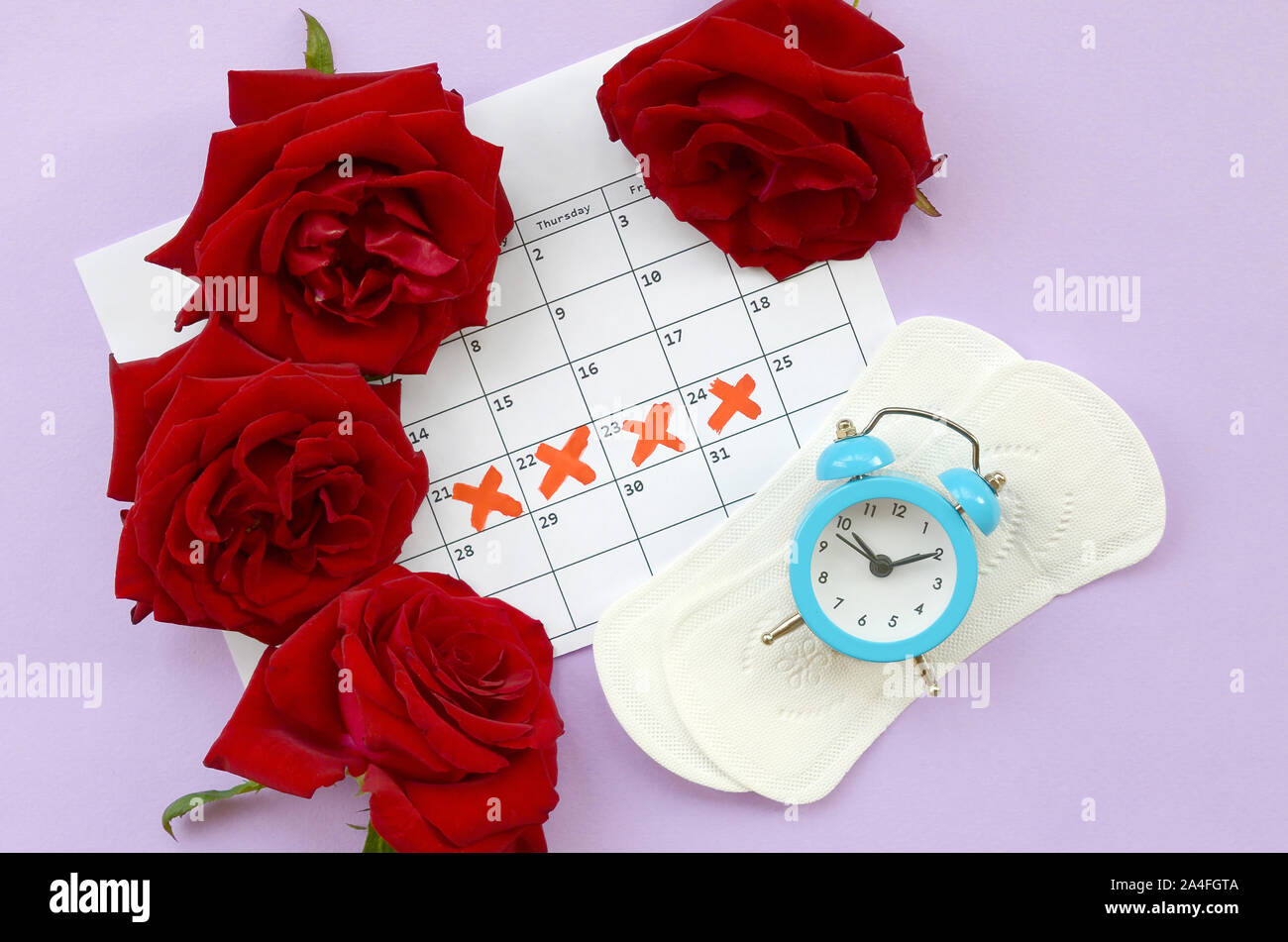 Pads auf der Menstruation Menstruation Periode Kalender Wecker mit blauen und roten Rosen. Aspekte der Frauen Wellness in Monatszeitschriften. Frau kritischen Tagen Stockfoto
