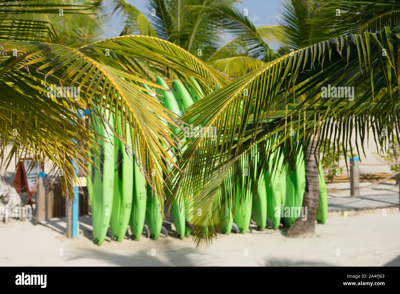 Mahagoni Bucht Kreuzfahrt Schiff aufhalten, Roatan, Honduras Stockfoto