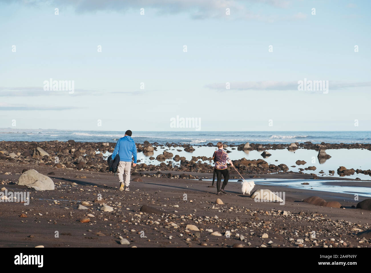 Vater und Sohn spazieren auf einem felsigen Strand mit Hund Stockfoto
