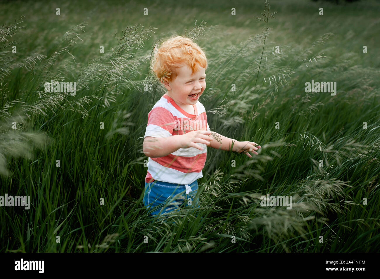 Kleinkind Junge, 1-2 Jahre alt, stehen und Lachen in Langen bläst Gras Stockfoto