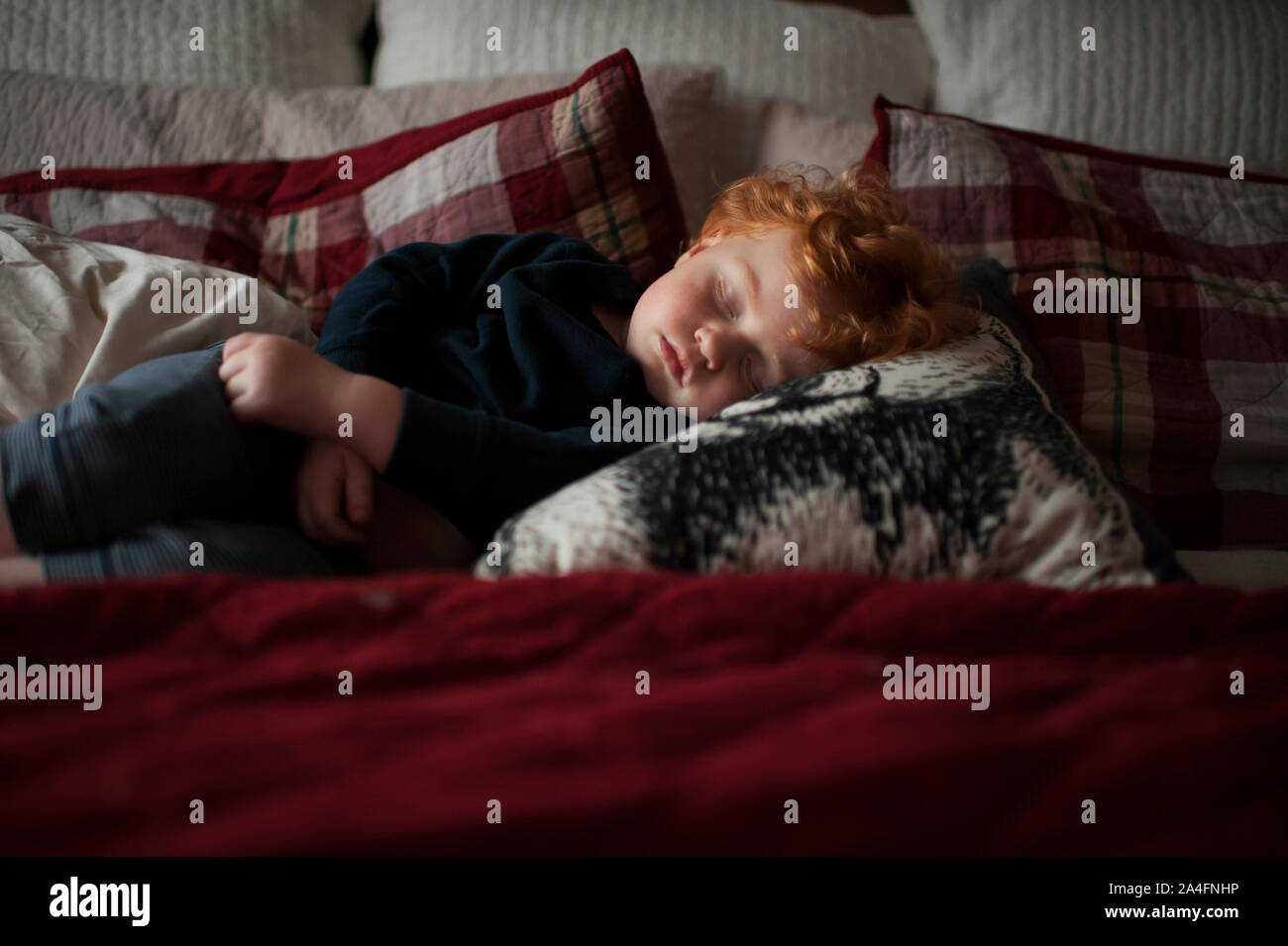 Kleinkind Junge, 1-2 Jahre alt, schlief auf den Kissen im Bett mit roten Betten Stockfoto