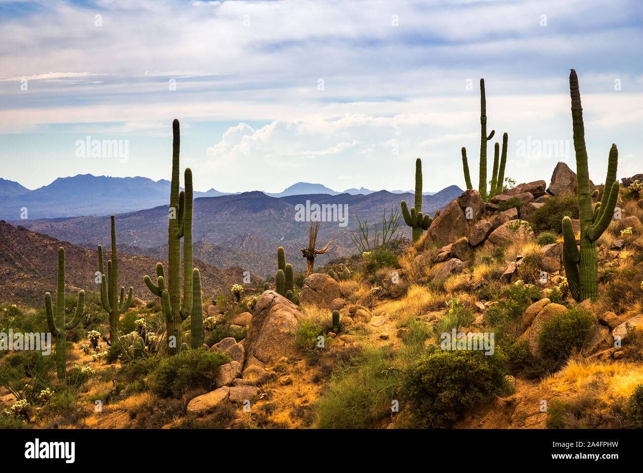 Wüste Landschaft Blick von der Straße zu vier Gipfeln in den Superstition Mountains in Arizona. Stockfoto