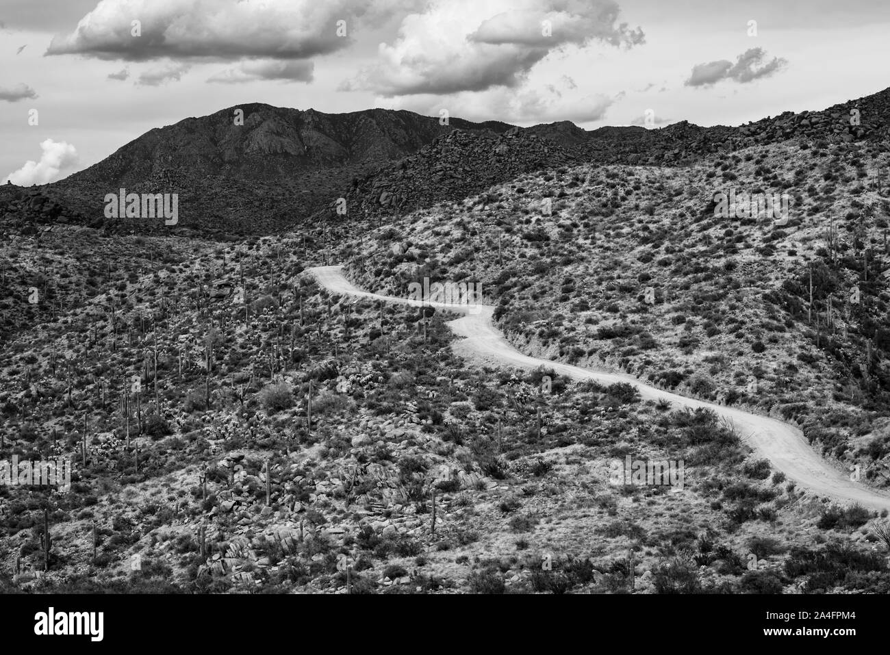 Schwarze und weiße Landschaft Foto der Schmutz der Straße, die mit vier Gipfeln Wildnis im Tonto National Forest, Arizona führt. Stockfoto
