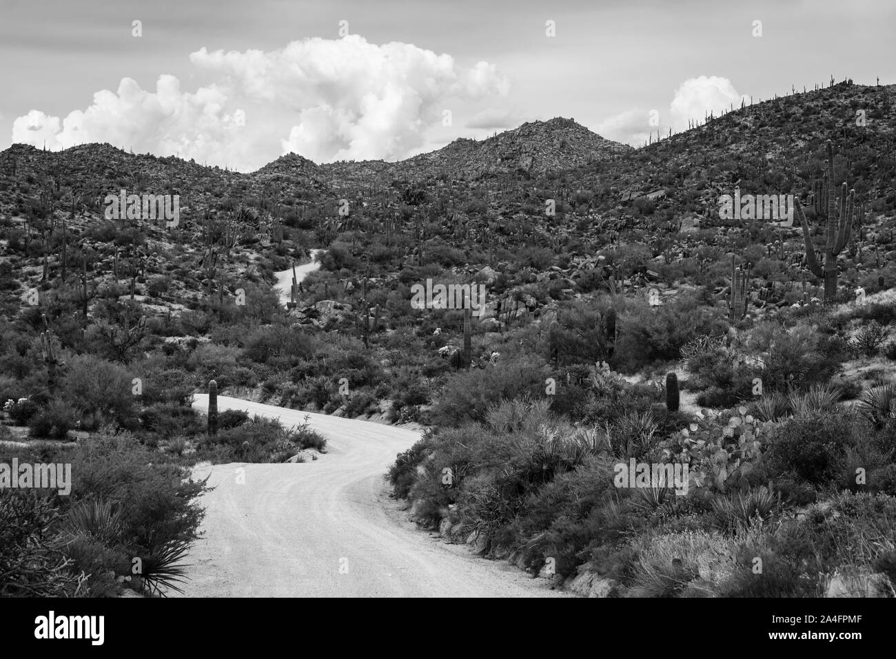 Schwarze und weiße Landschaft Foto auf die malerische Straße, die zu den vier Gipfel Wildnis im Tonto National Forest, Arizona führt. Stockfoto