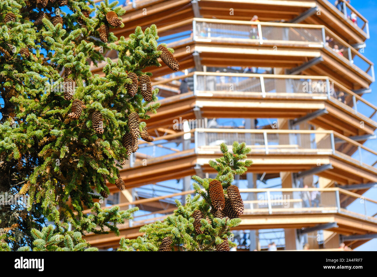 Forest Canopy Tower und Gehweg, Fußweg über Baumkronen, Outdoor Abenteuer auf Rogla, Slowenien Stockfoto