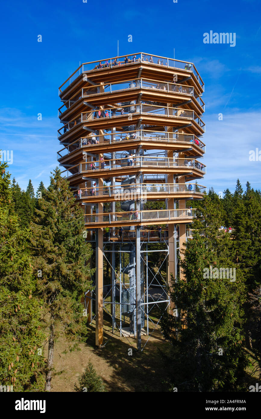 Forest Canopy Tower und Gehweg, Fußweg über Baumkronen, Outdoor Abenteuer auf Rogla, Slowenien Stockfoto