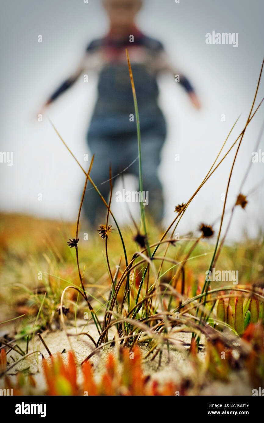 In der Nähe von Sand dune Grass mit Kleinkind im Hintergrund Stockfoto