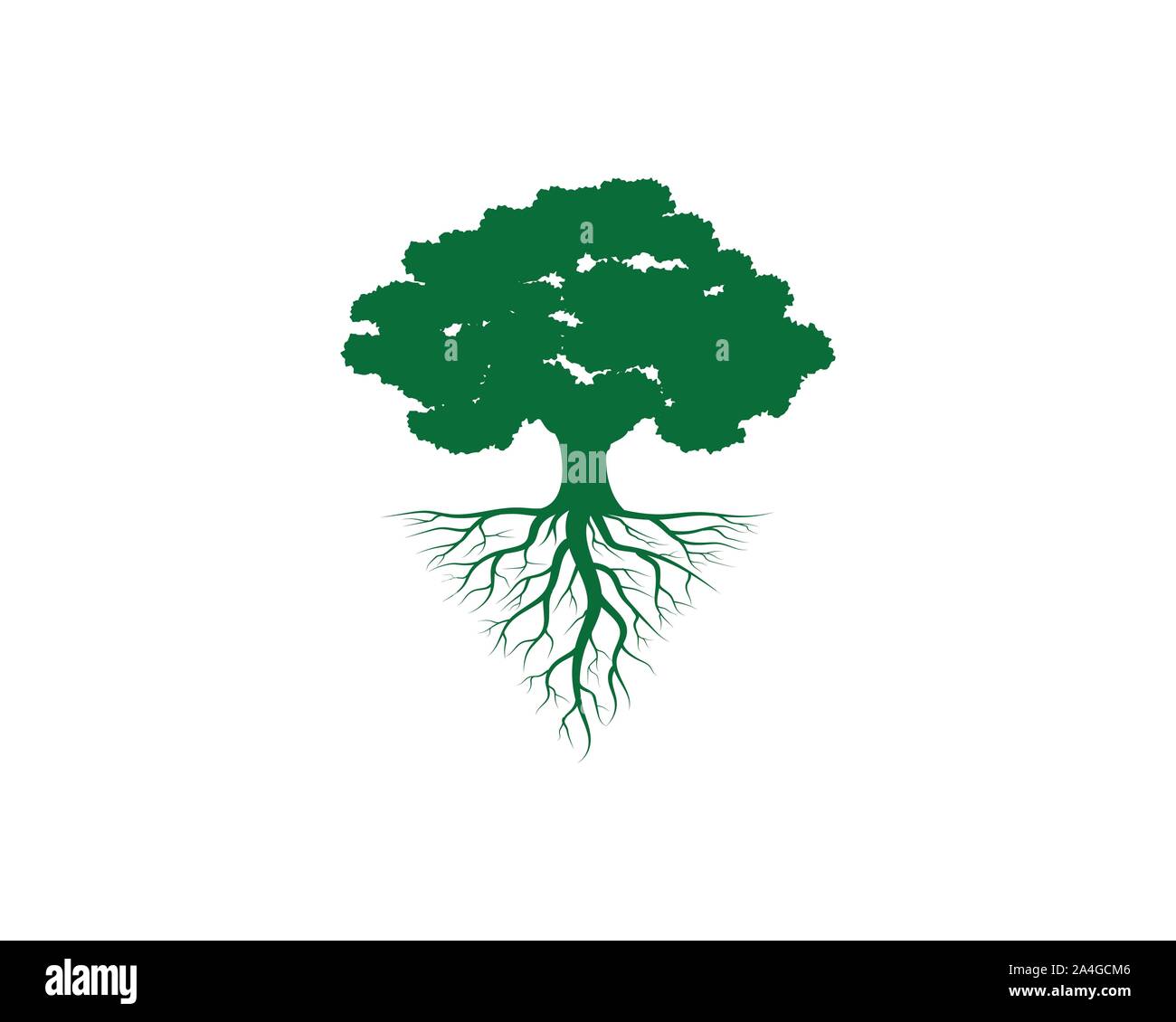 Oak Tree Leaf Logo template Vector Illustration Design Stock Vektor Oak Tree Leaf Logo template Vector Illustration Design Stock Vektor