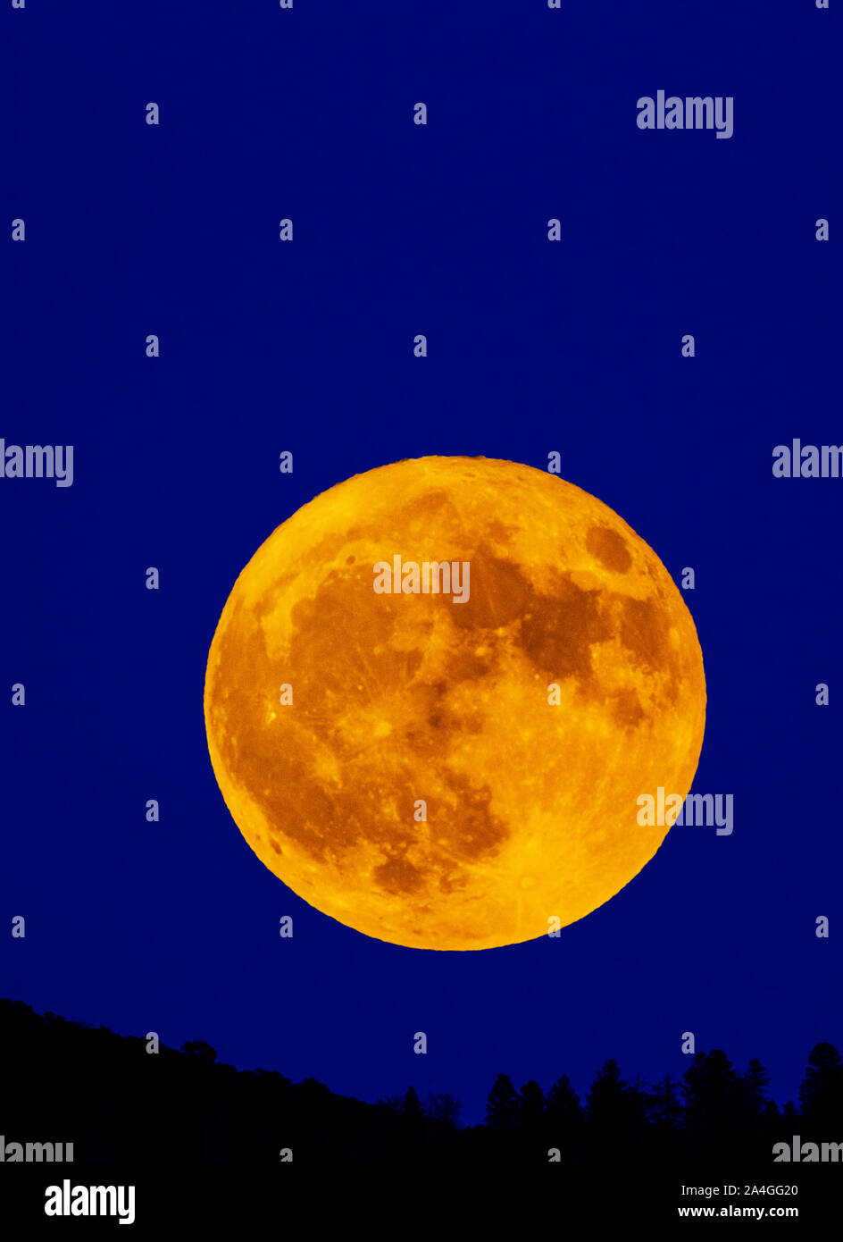 Hälfte-blut Donner Mond oder Hunter's Moon Over Rocky Mountains, Salida, Colorado, USA Stockfoto