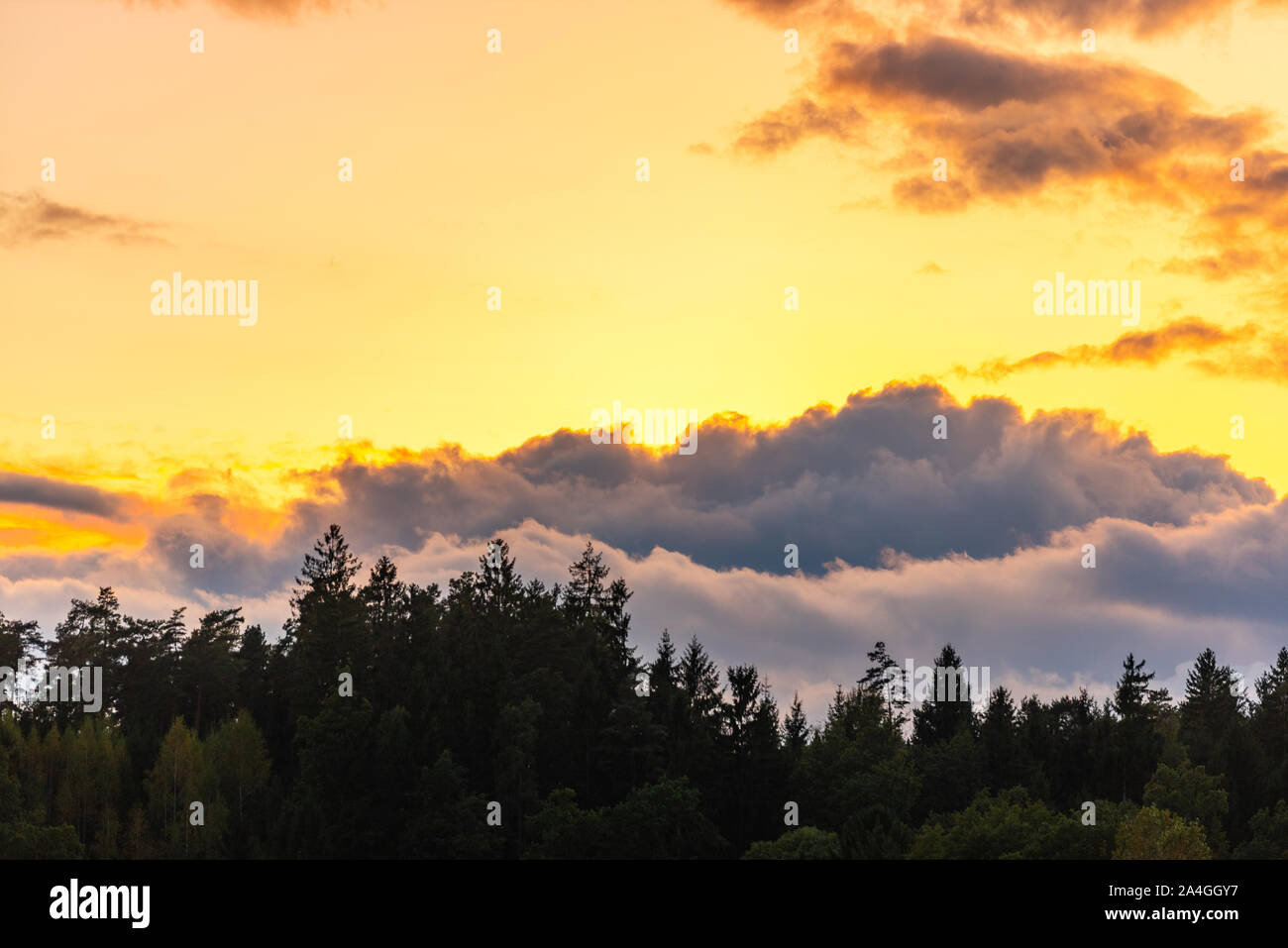 Sonnenuntergang über Wald mit Pastellfarben Himmel und bunten Wolken Stockfoto