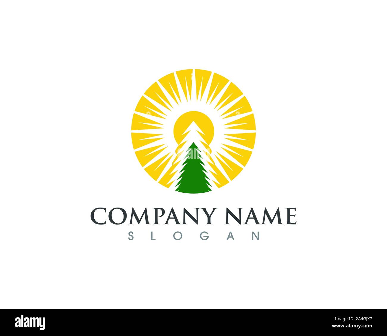 Cedar Tree Logo Vorlage Vektor icon Abbildung design Stock Vektor