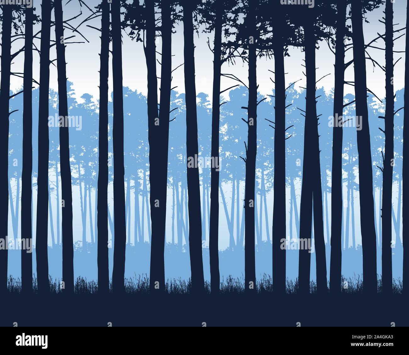 Realistische Darstellung der Landschaft mit Nadelwald mit Pinien unter blauem Himmel - Vektor Stock Vektor