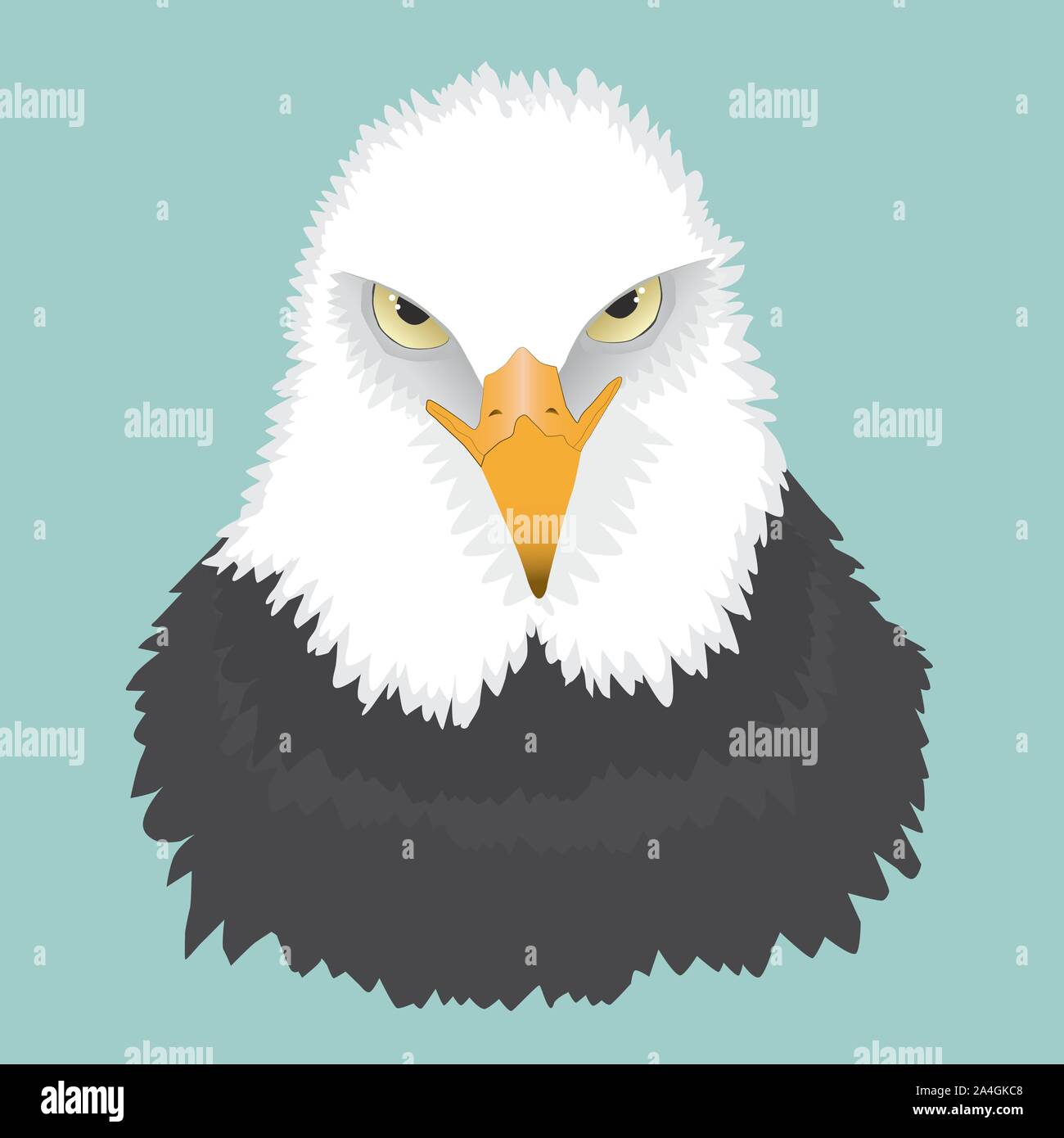 Das Porträt einer weißkopfseeadler. Sie sehen ihn von vorne und er ist auf der Suche wütend. Stock Vektor