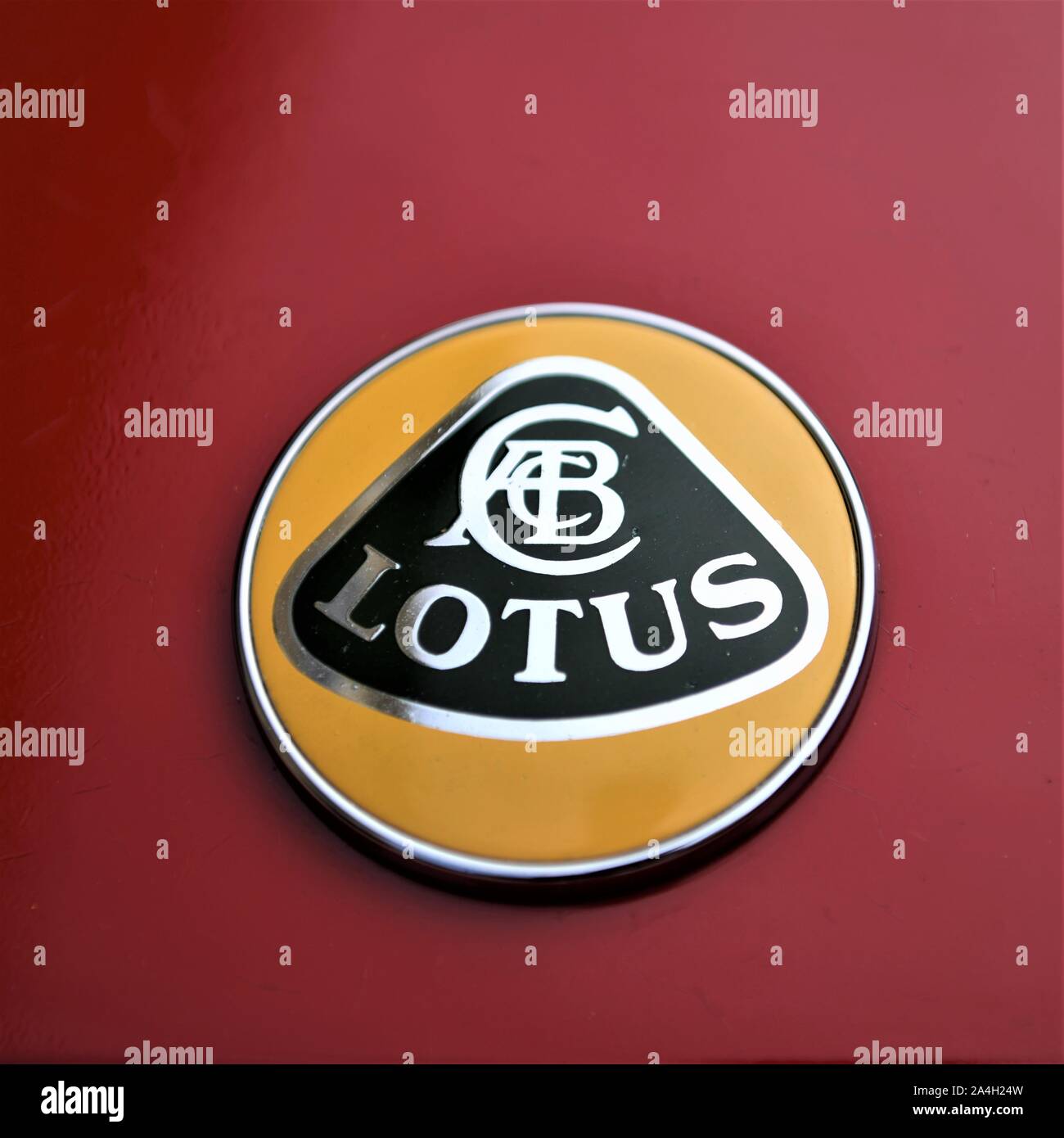 Lotus Kühlerfigur Stockfoto