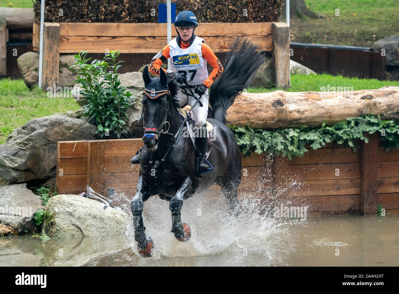 Nina de Haas NED mit Cocu während der militärischen Boekelo am 12. Oktober 2019 in Enschede, Niederlande. (Foto von Sander Chamid/SCS) Stockfoto