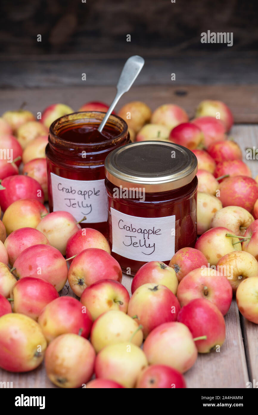 Malus 'Jelly King'. Crab Apple' Jelly King' Obst und ein Glas von Crab Apple Gelee Stockfoto