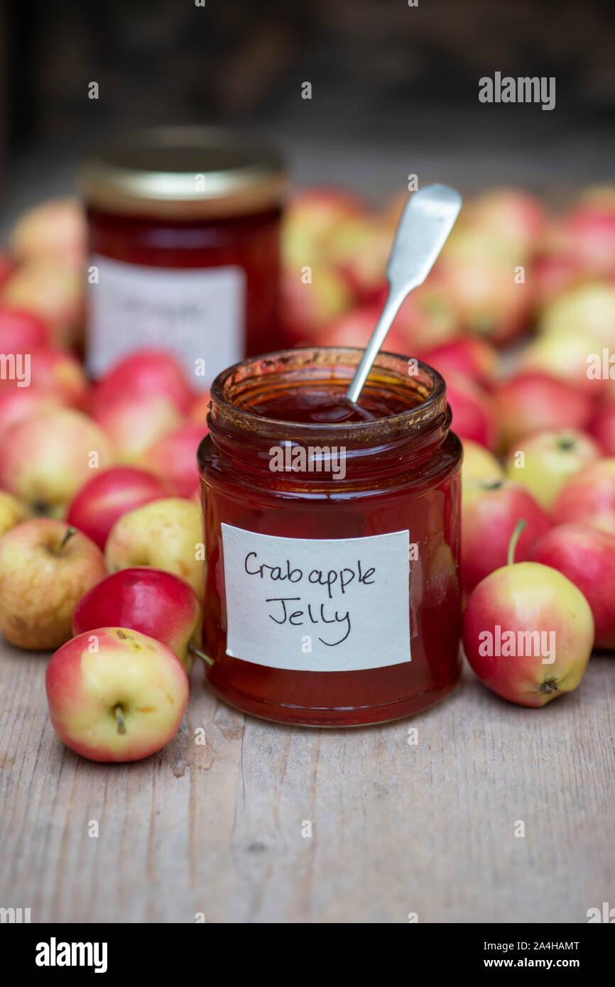 Malus 'Jelly King'. Crab Apple' Jelly King' Obst und ein Glas von Crab Apple Gelee Stockfoto