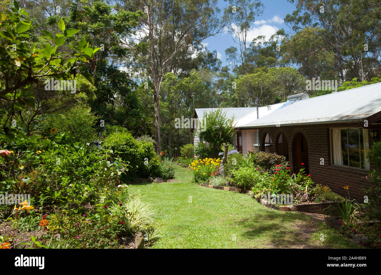 Bunten Garten mit gepflegten Rasen und Beeten mit blühenden Sträuchern, Stauden und Bäume unter blauem Himmel neben brick House in Australien Stockfoto