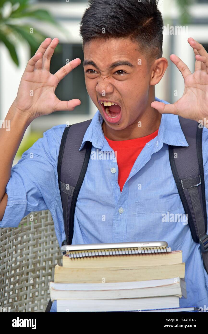 Betont gut Aussehender Schüler mit Notebooks Stockfoto