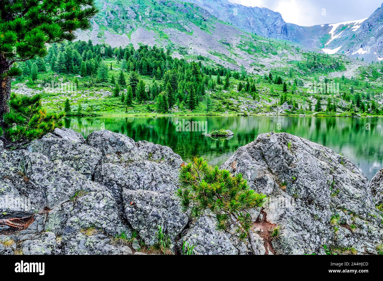 Eine aus sieben sauberste Berg Karakol Seen, im Tal, am Fuße der Bagatash Pass, Altai Gebirge, Russland. Nadelwälder ein Stockfoto