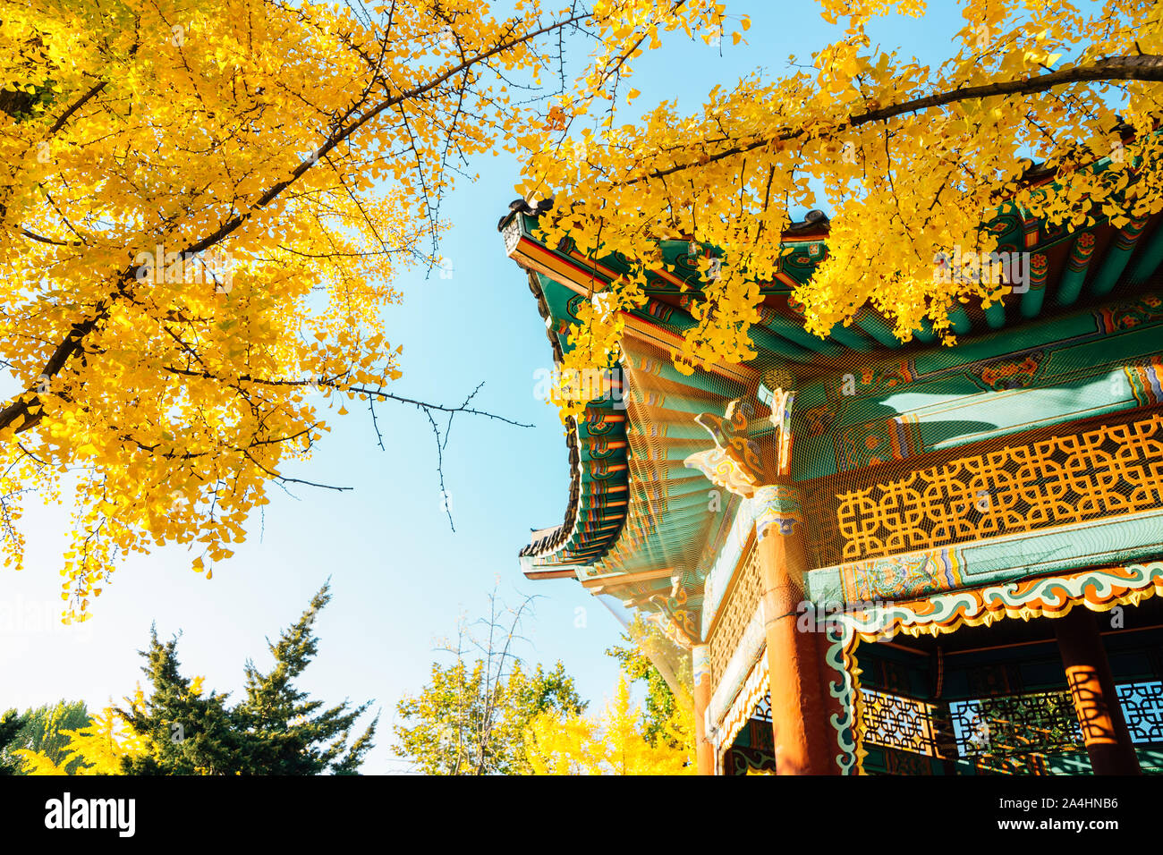 Traditionelle koreanische Pavillon mit Herbst ginkgo Bäume am Children's Grand Park in Seoul, Korea Stockfoto