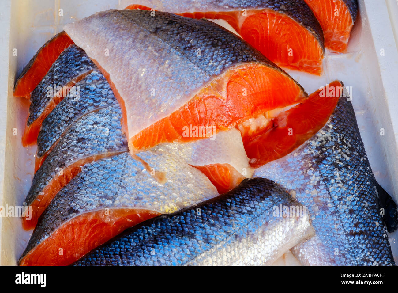 Roher Lachs in Schaumstoff, in Tsukiji Markt Stockfoto