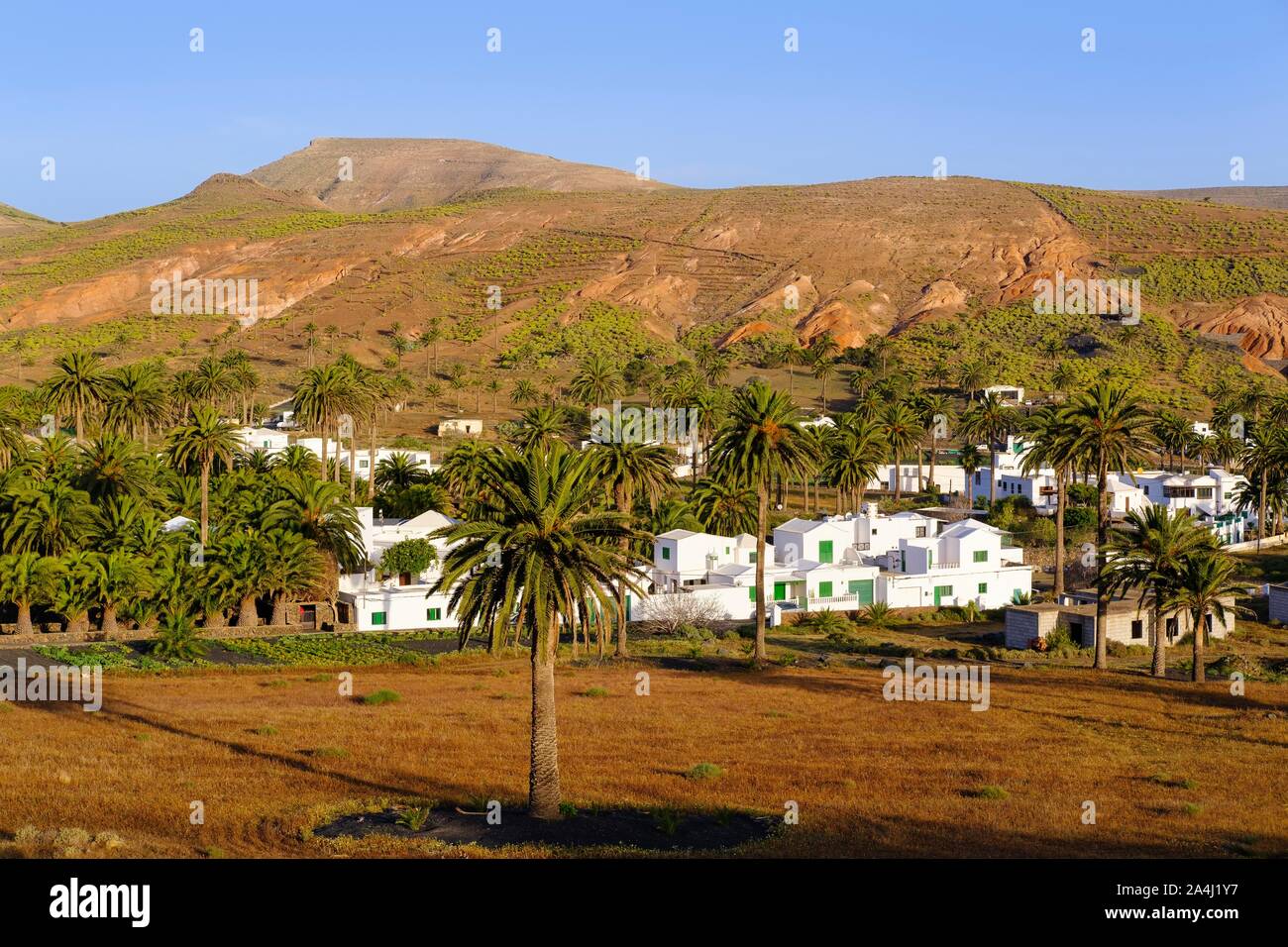 Haria Dorf, das Tal der 1000 Palmen, Lanzarote, Kanarische Inseln, Spanien Stockfoto