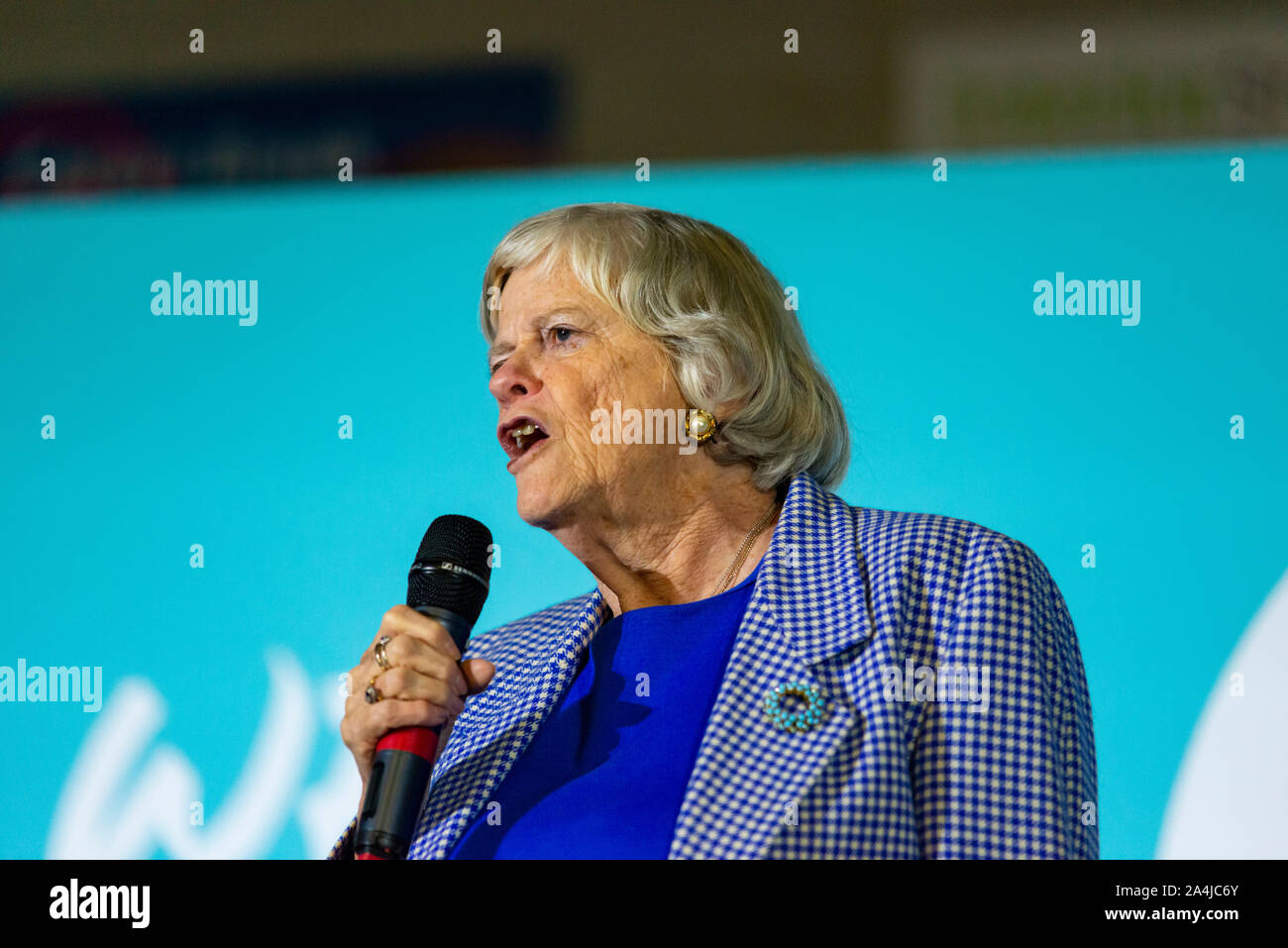 Die Brexit Partei AG zu einer politischen Kundgebung in Cornwall in Erwartung eines allgemeinen Wahlen in Großbritannien. Stockfoto