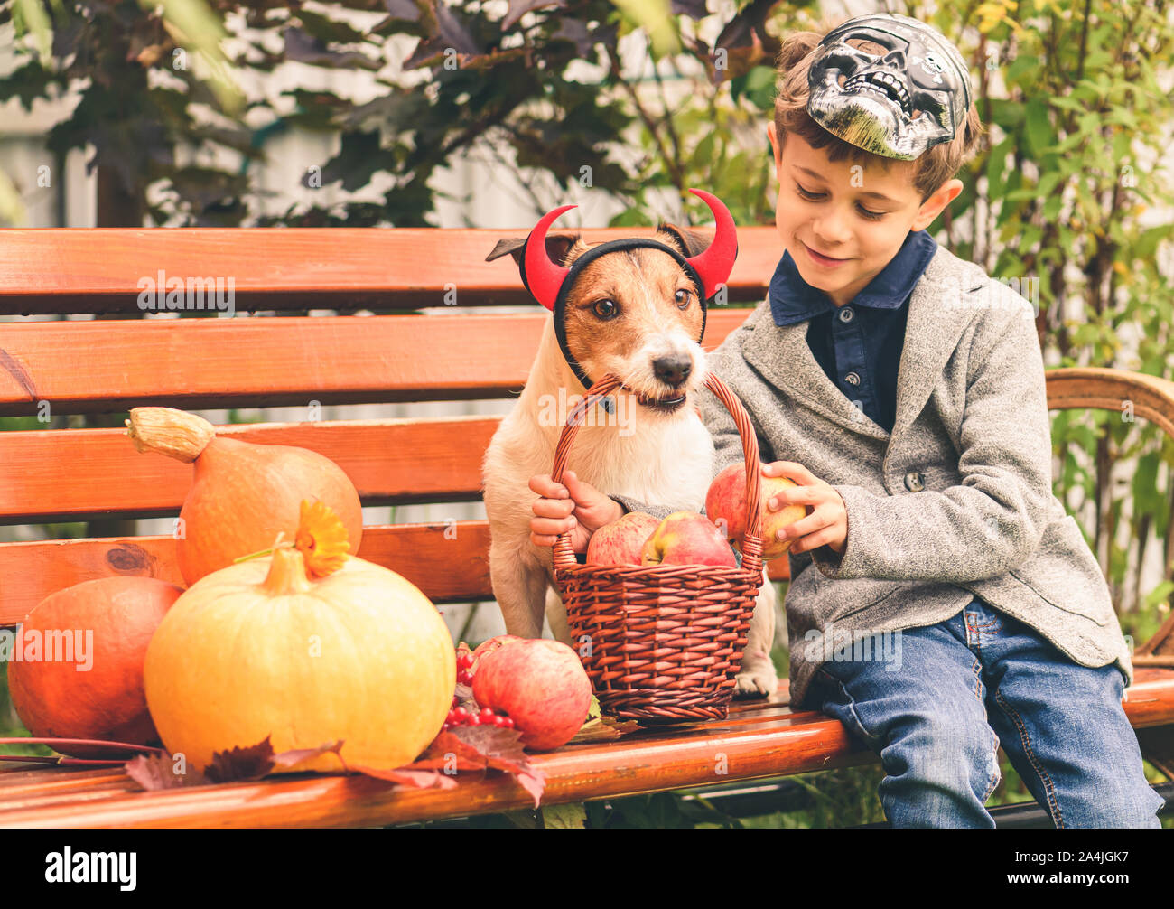 Junge und Hund tragen Halloween Kostüme nach trick-or-Behandlung mit Äpfel im Korb Stockfoto