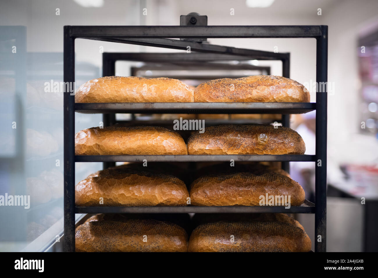 Frisch gebackene Brote Kühlung in einem Rack in einer Bäckerei Stockfoto