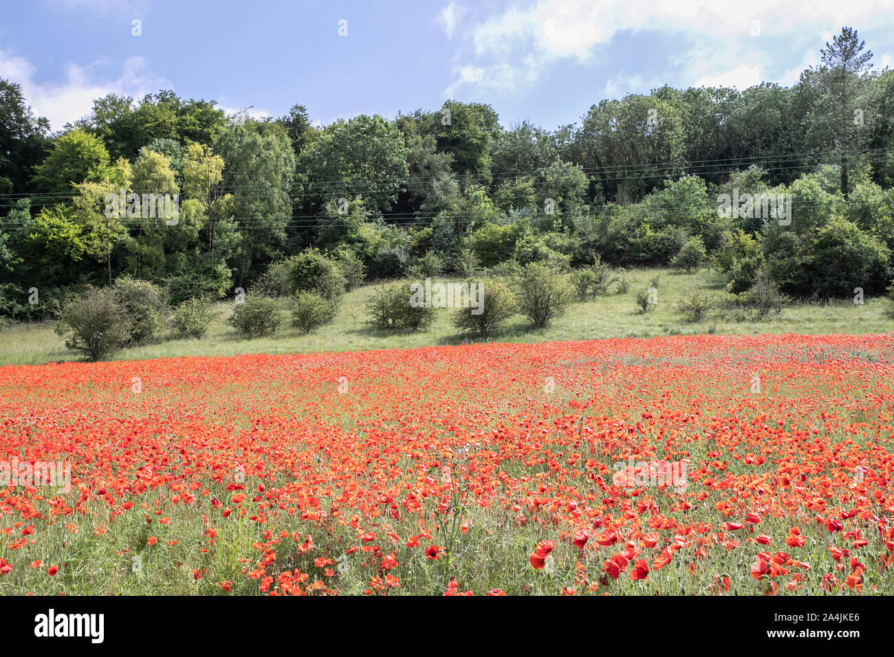 riesige-felder-fotos-und-bildmaterial-in-hoher-aufl-sung-alamy