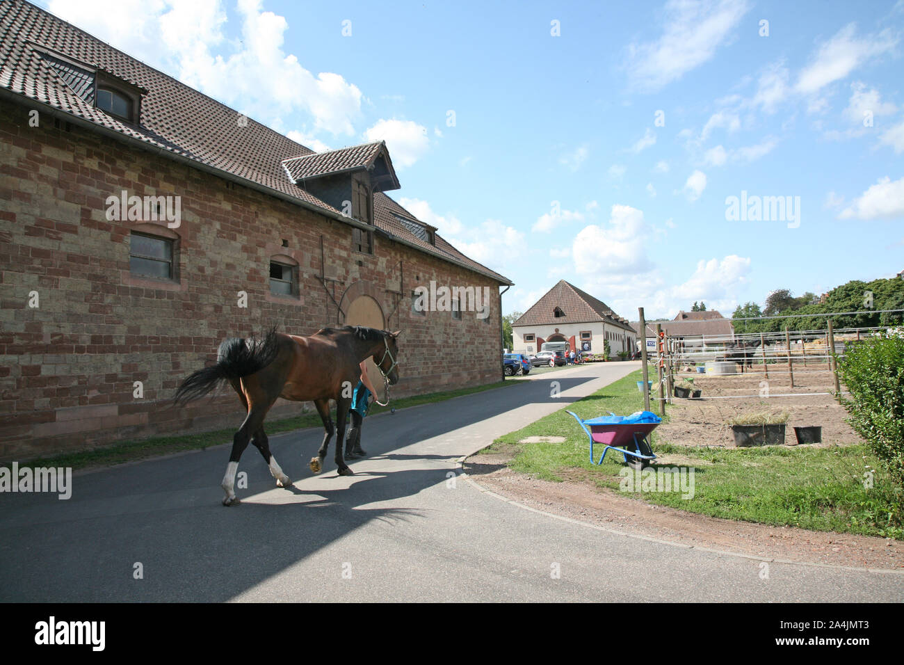 Landgestuet Zweibrücken, Deutschland Stockfoto