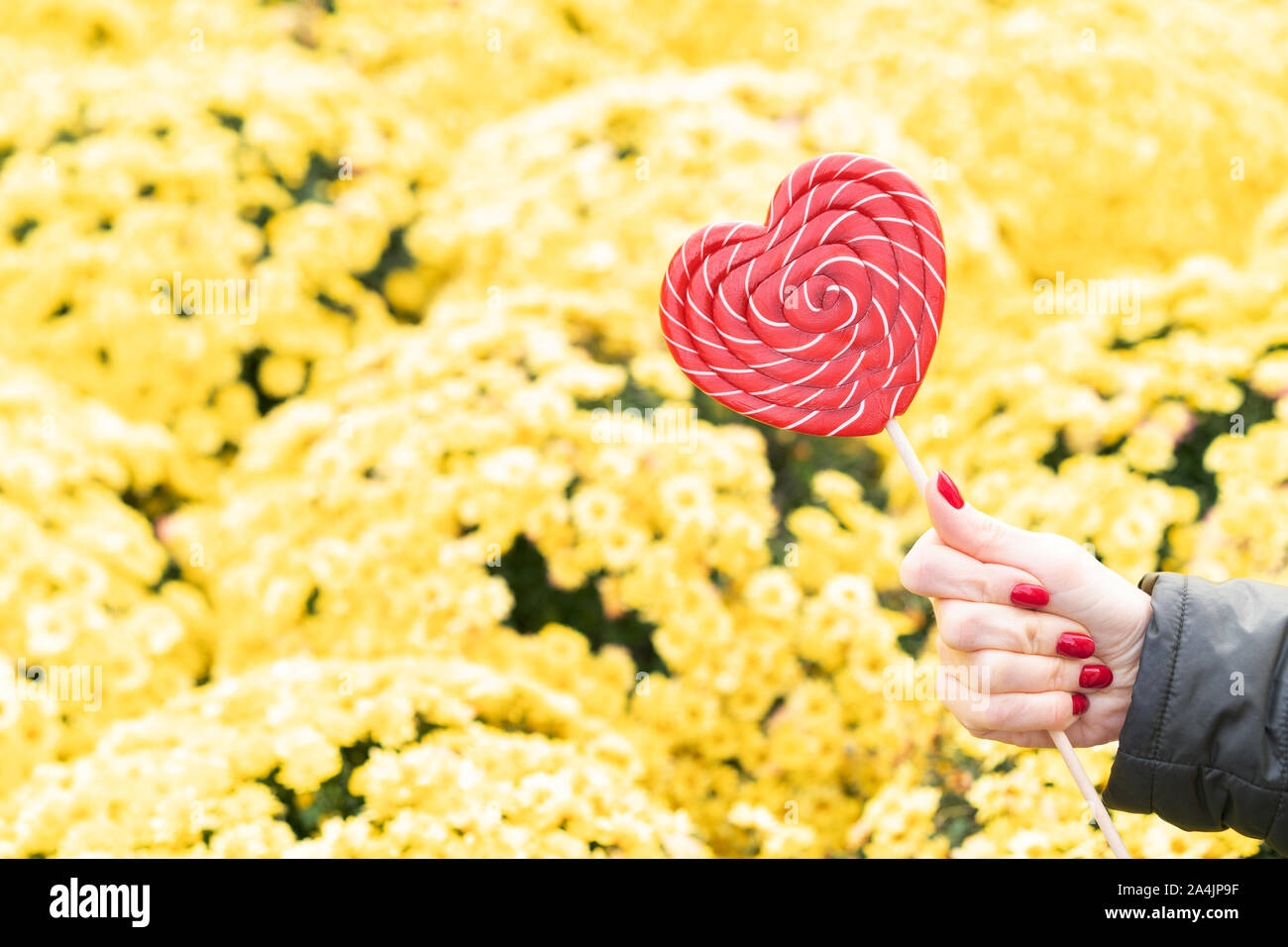 Weibliche hand mit schönen roten Maniküre hält einen großen roten herzförmigen Lollipop Stockfoto