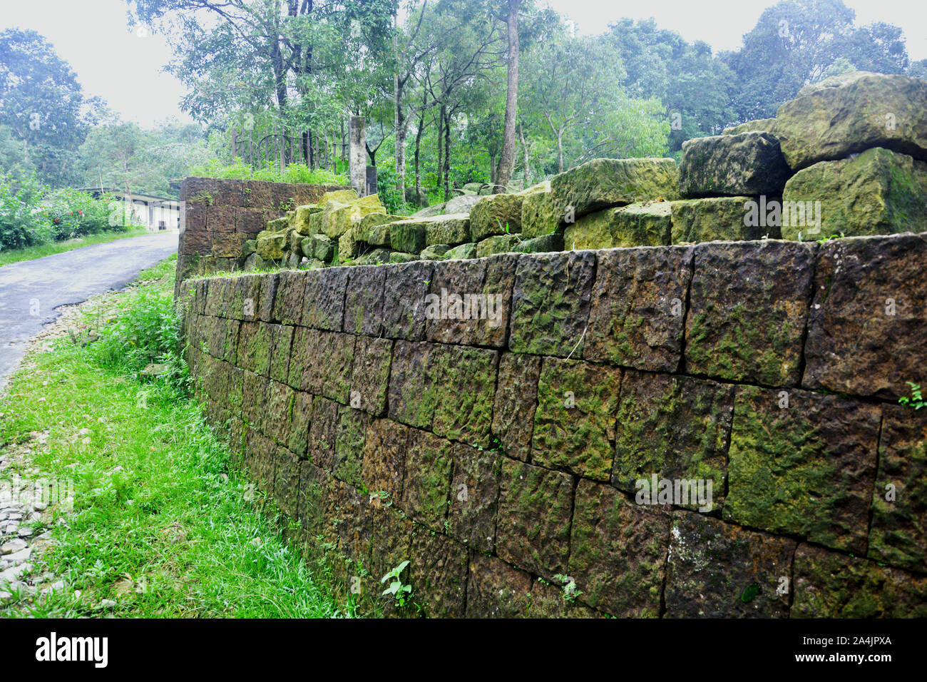 Nahaufnahme eines bemoosten Stein Wand auf der Seite einer asphaltierten Straße mit Bäumen und Gräsern in Meghalaya Stockfoto