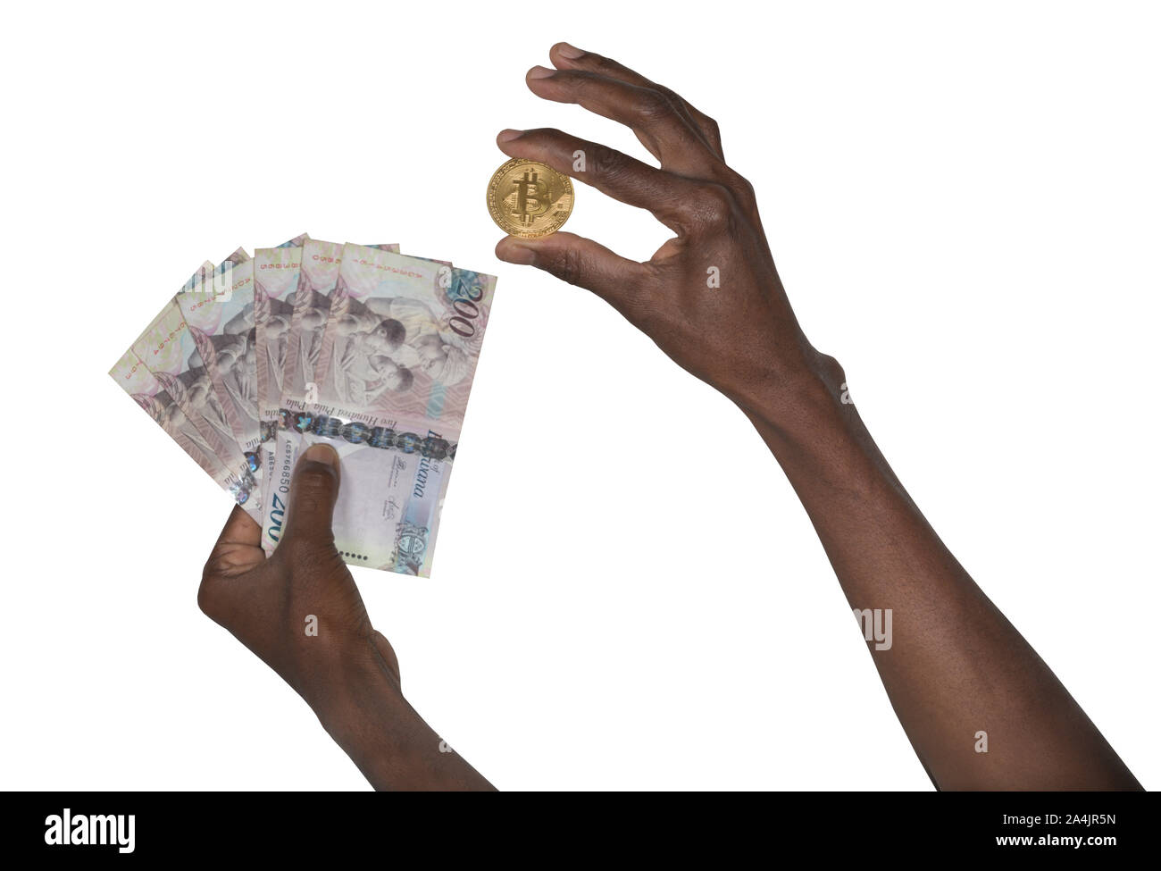 Afrikanische Frau Hände halten ein von Bitcoins und Pula afrikanischen Währung Stapel Stockfoto