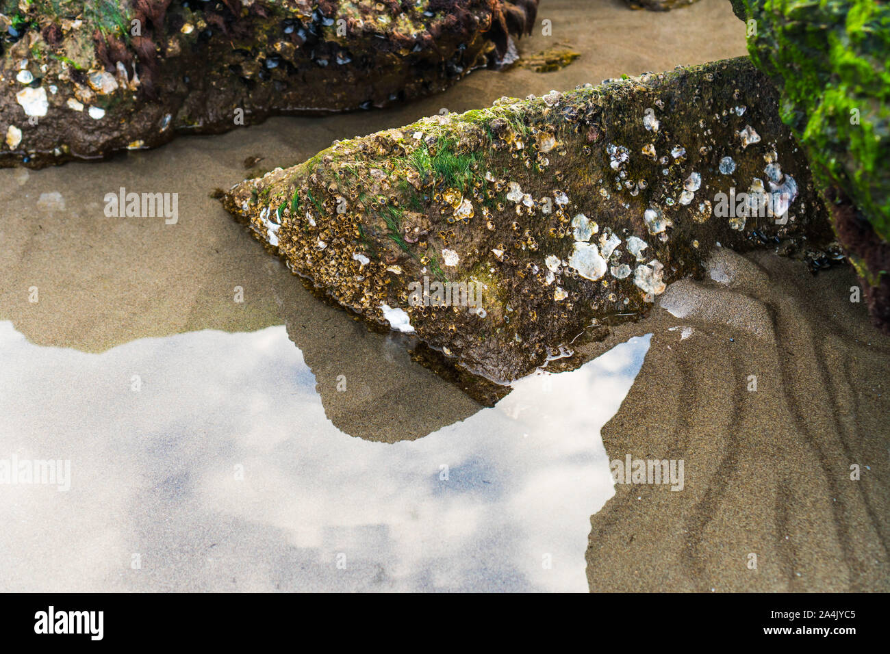 Pfütze auf dem Sand auf den Strand und mit nassen Steine Stockfoto