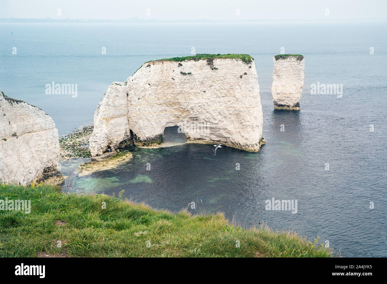 Blick auf Old Harry Rocks, Swanage, Dorset Stockfoto