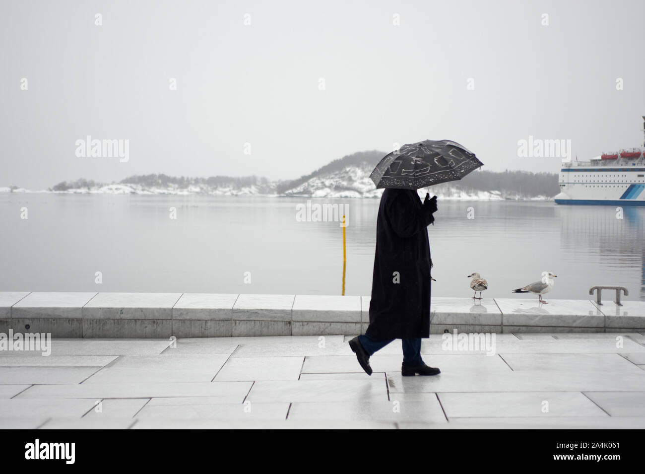Mann mit Regenschirm Wanderungen von Möwen auf dem Dach der Oper Oslo Stockfoto