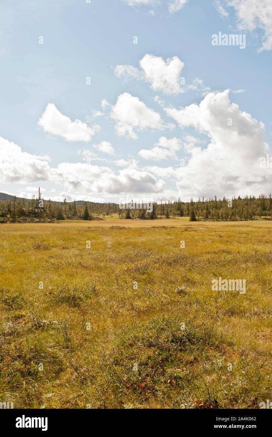 Norwegen, Finnmark, Hemsedal Stockfoto