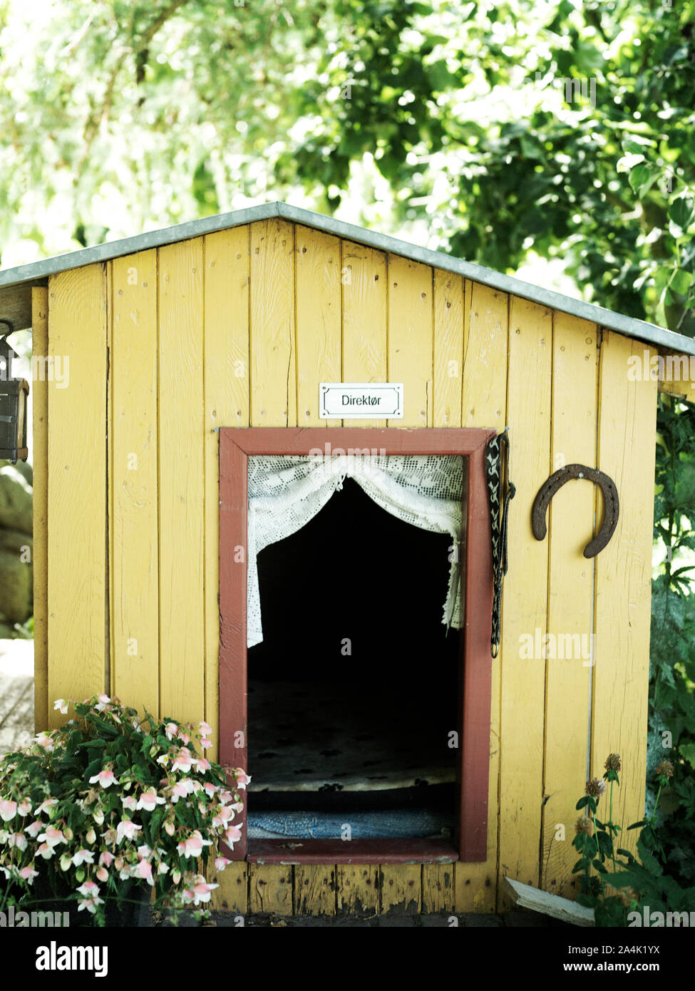 Hund & akute; s Haus Stockfoto