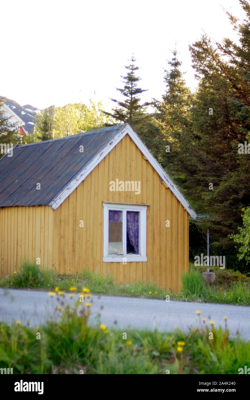 Haus in Lofoten Stockfoto
