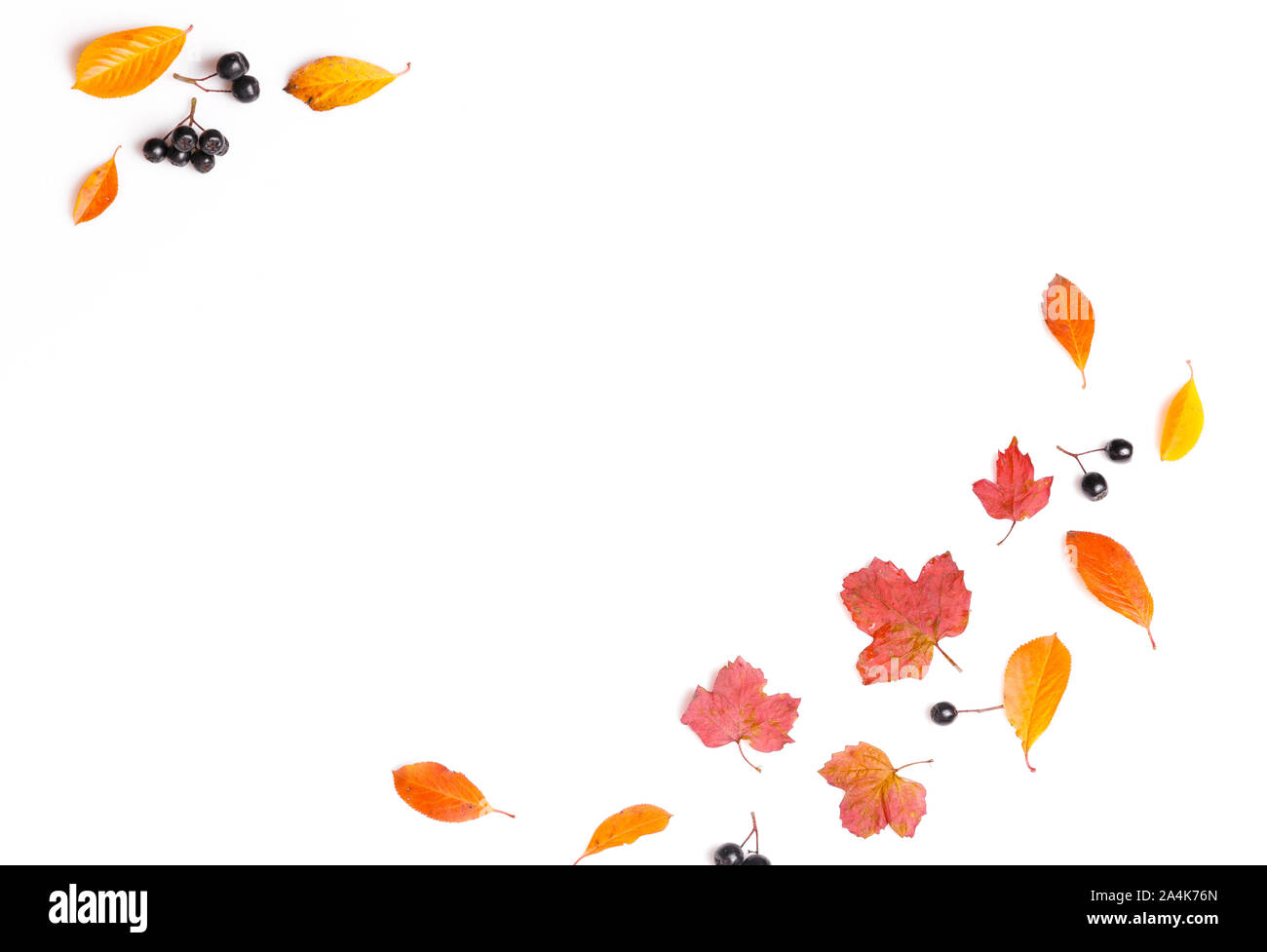 Herbst Komposition. Rahmen aus Herbst Beeren und Blätter auf weißem Hintergrund. Stockfoto