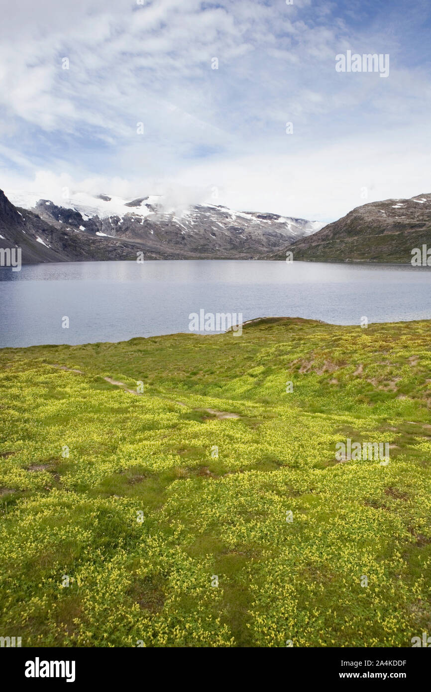 Djupvatnet See, Geiranger Bergen Stockfoto