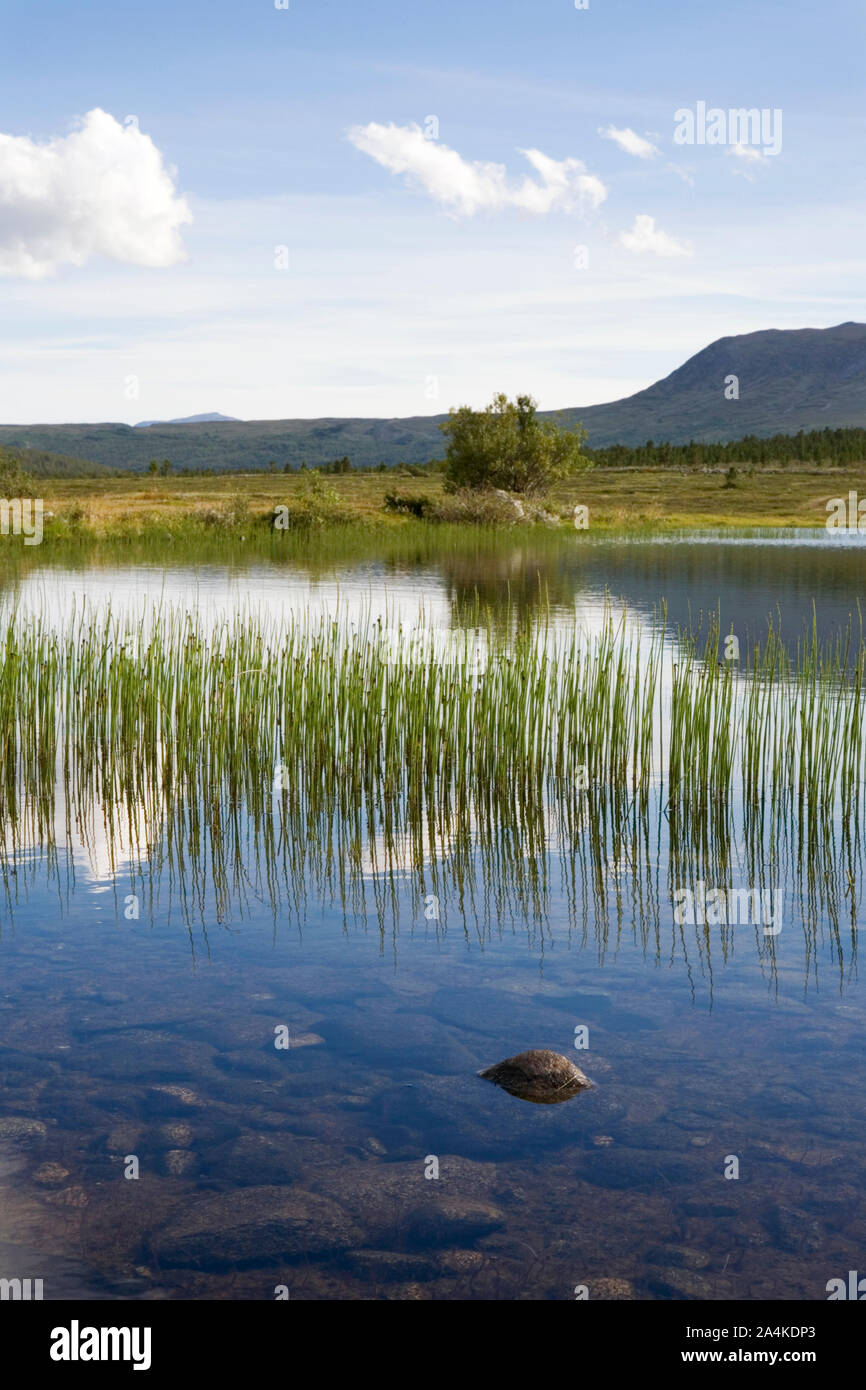 Tesse See in Lom Stockfoto