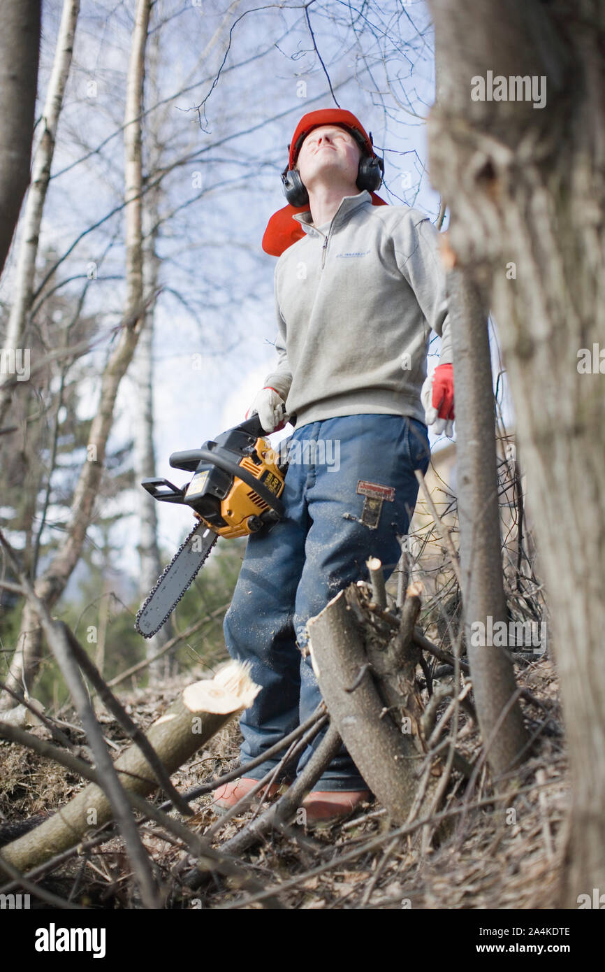 Woodman tragen Schutzhelm bei der Arbeit in Norwegen Stockfoto