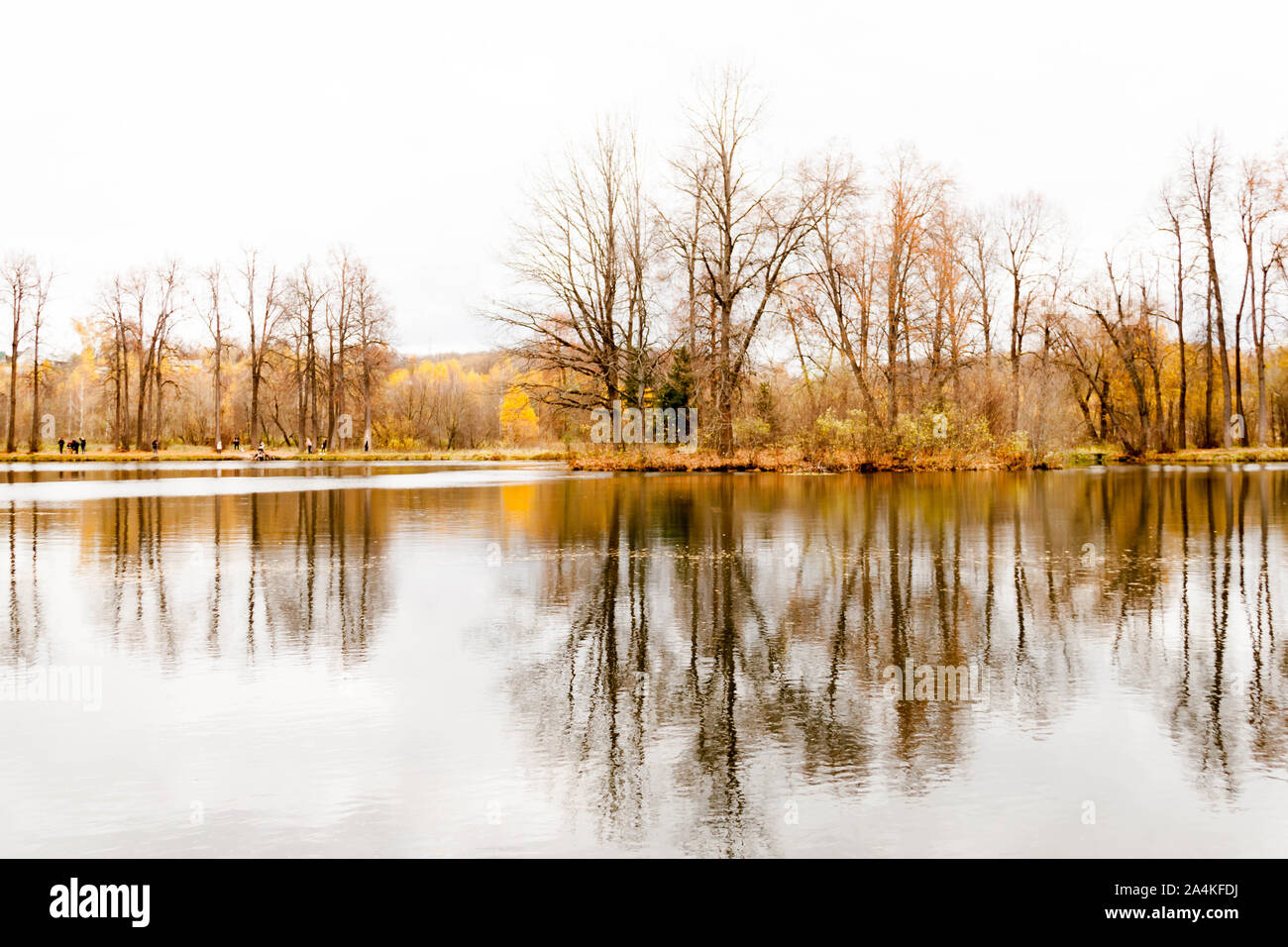 Russland, Moscow Region - Oktober 13, 2019: schöne herbstliche Blick auf Teich in Manor in Serednikovo Firsanovka. Der goldene Herbst Bäume sich in Th Stockfoto