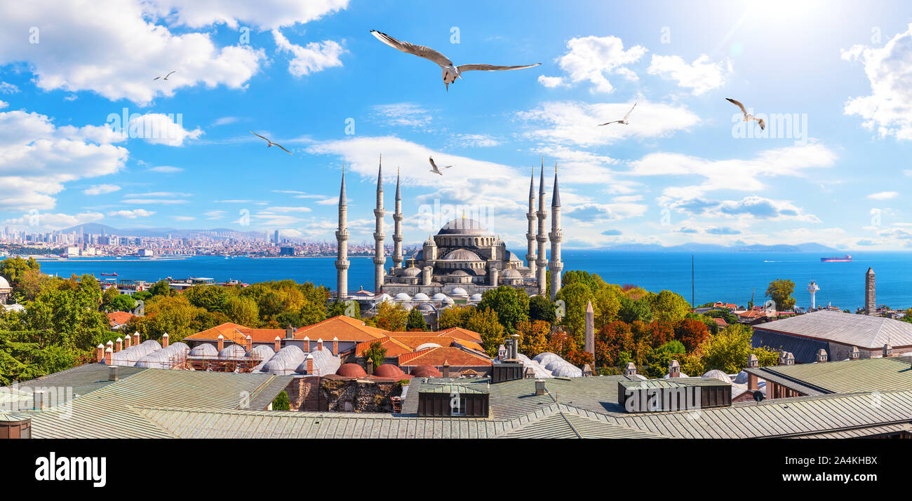 Sultan Ahmet oder die Blaue Moschee und den Bosporus gerade im Hintergrund, Istanbul panorama Stockfoto