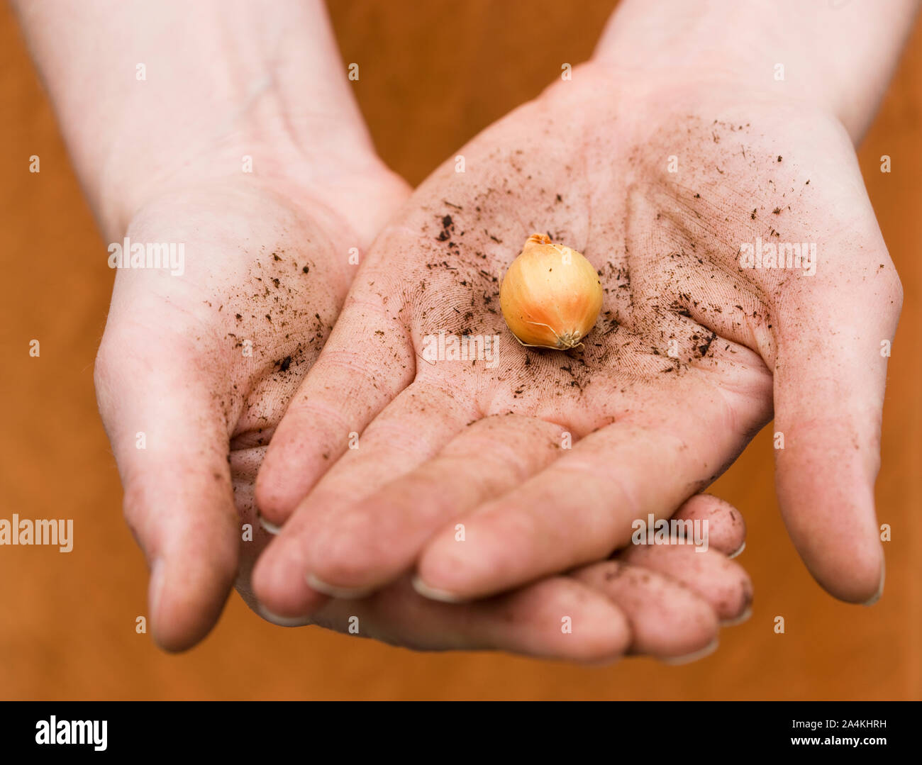 Frau mit Blume Glühlampe Stockfoto