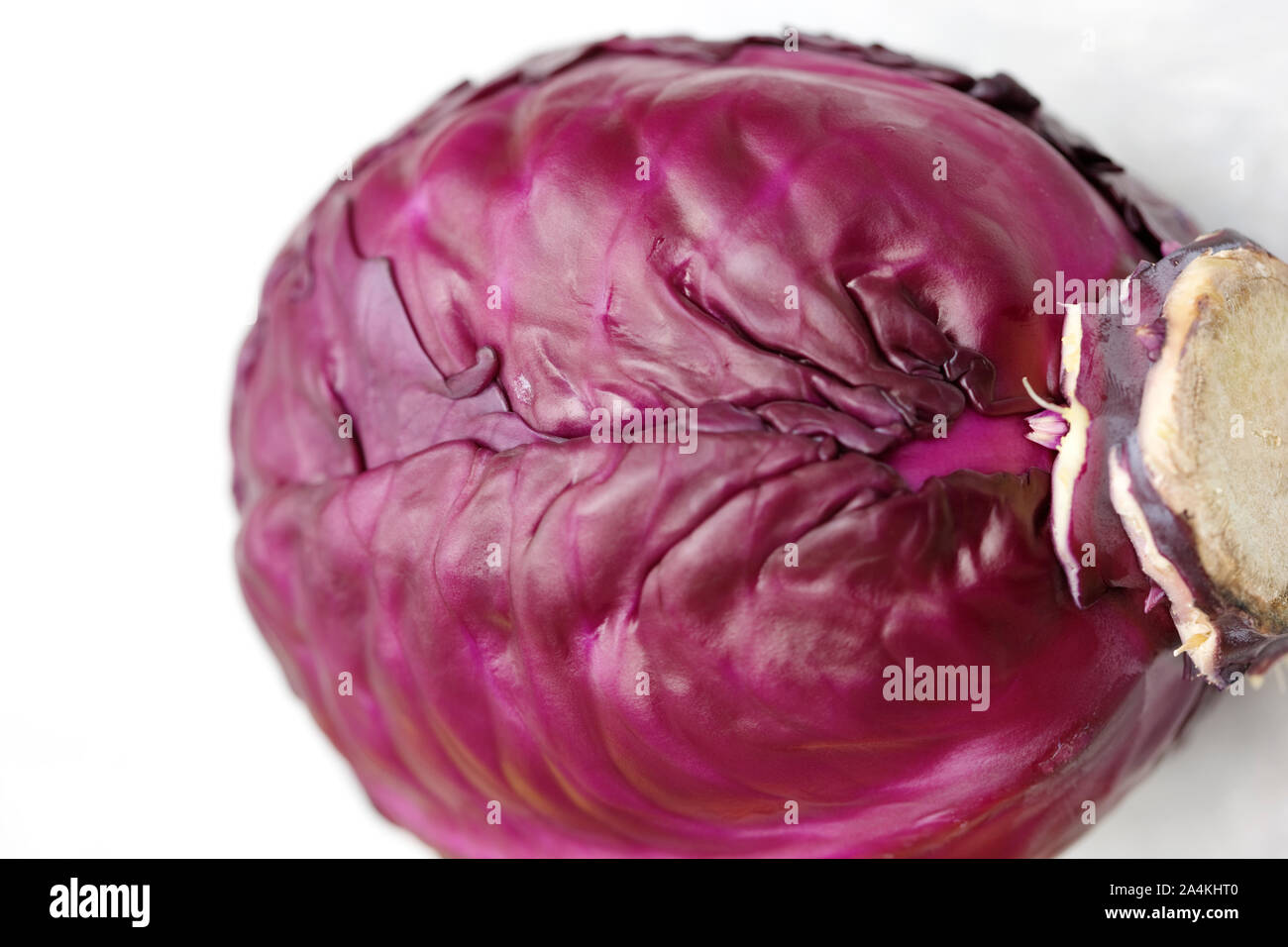 Rotkohl Stockfoto