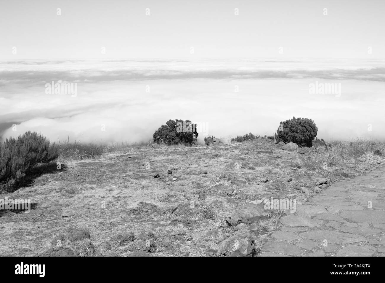 Panoramablick auf ein Wüstenklima mit Sträuchern über den Wolken (Madeira, Portugal, Europa) Stockfoto